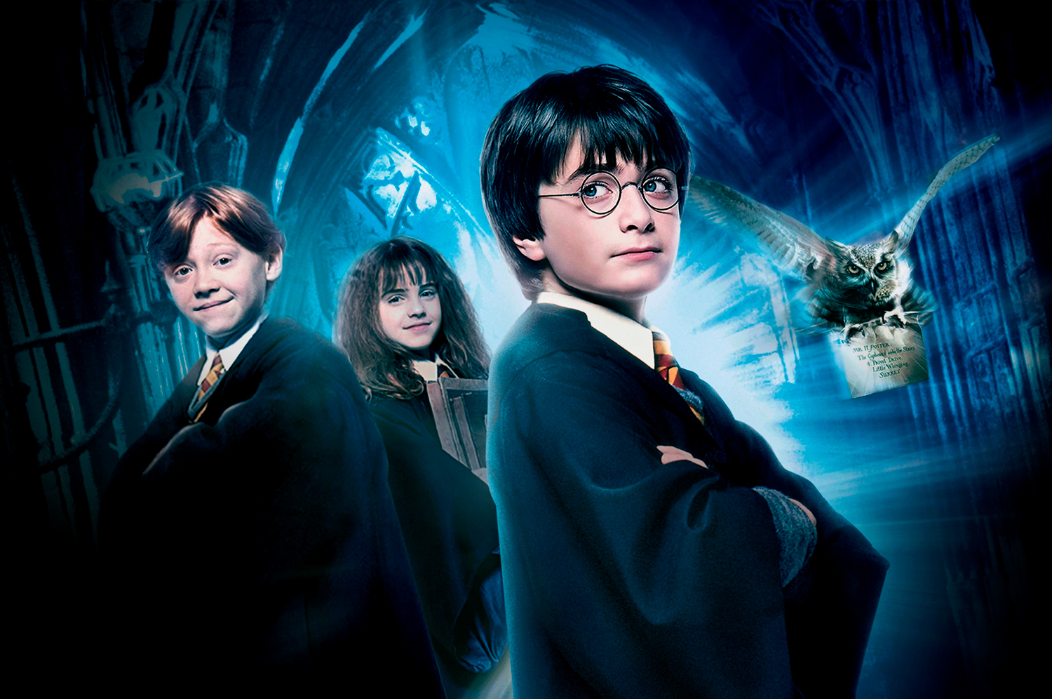 Onde assistir Harry Potter? A franquia está em algum serviço de streaming? Como ver de forma legal