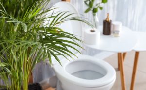 plantas no banheiro
