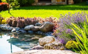 jardim terapêutico com água