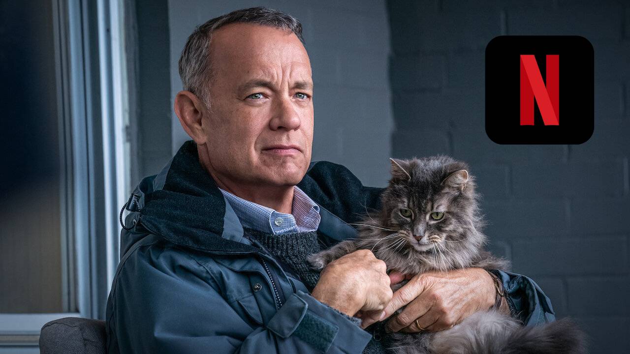 Onde assistir O Pior Vizinho do Mundo Tem na Netflix