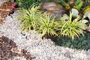 espaço de jardim com cascalhos e plantas